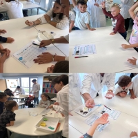 Despertar Ciência no Pré-escolar e no 1º Ciclo